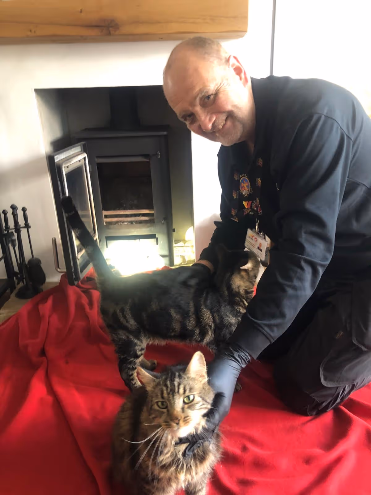 Man wearing black gloves kneeling on a red blanket, petting two tabby cats near a black wood stove.