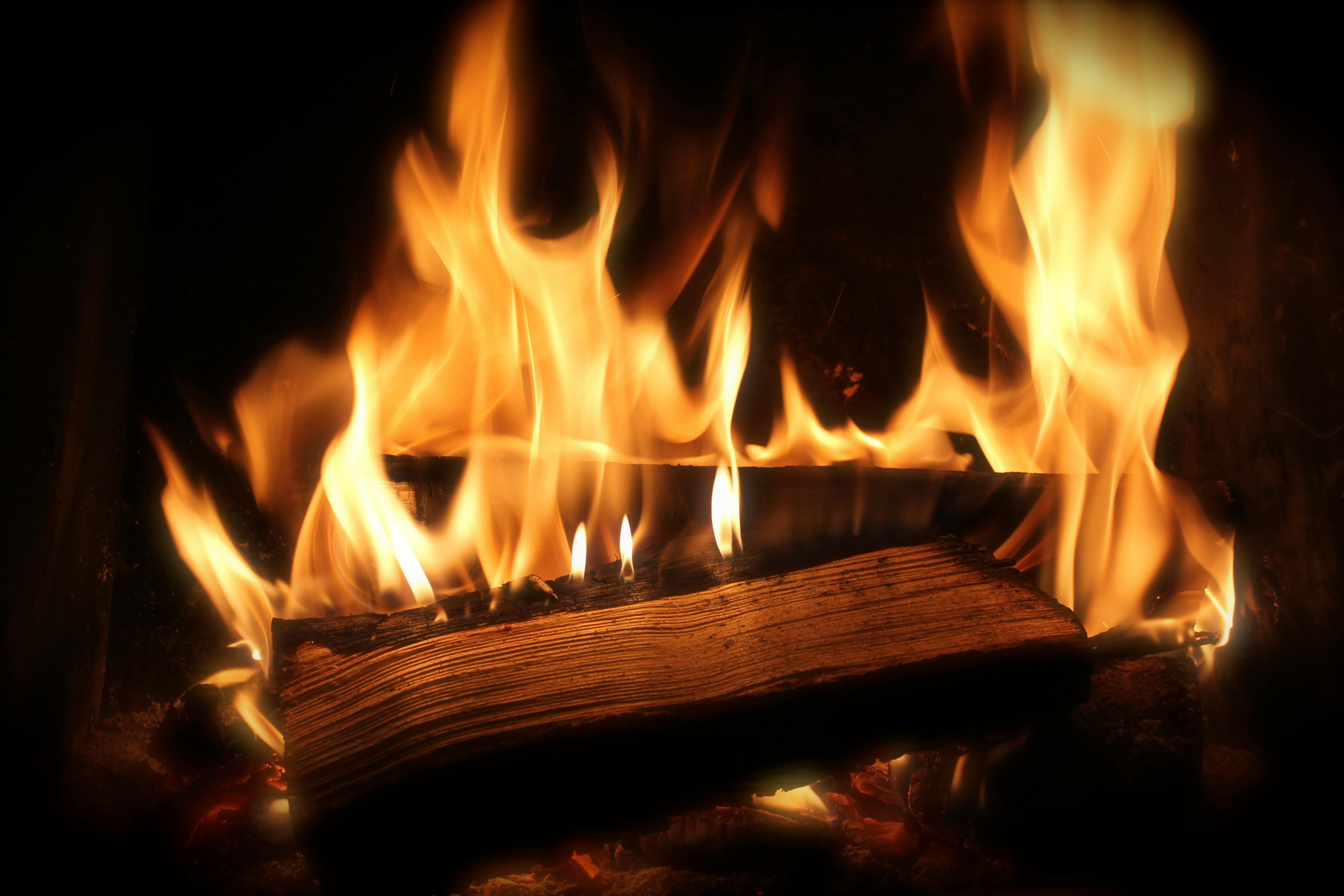 A single split log burning in a fireplace